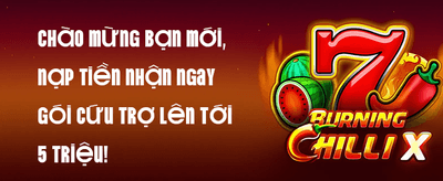 Siêu Thưởng Chào Mừng 100% Newbie promotion banner